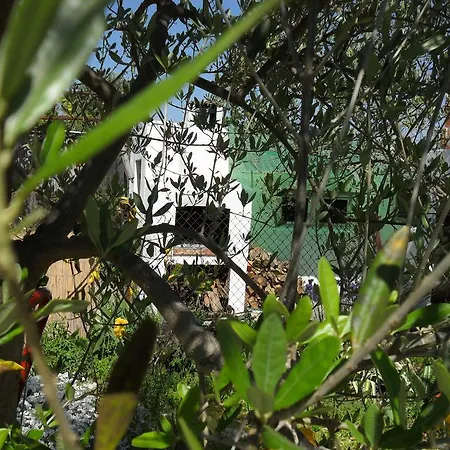 Nardi טרוגיר